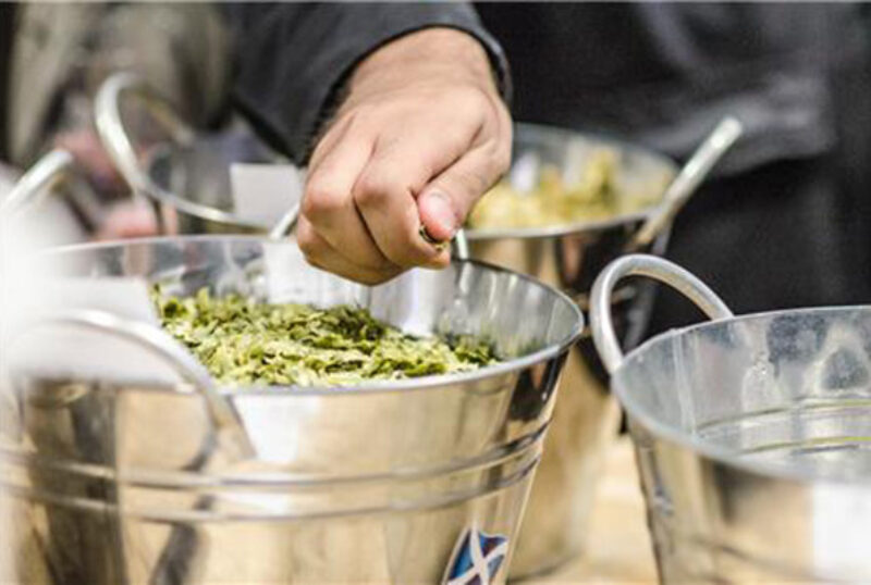Steward Brewing hops
